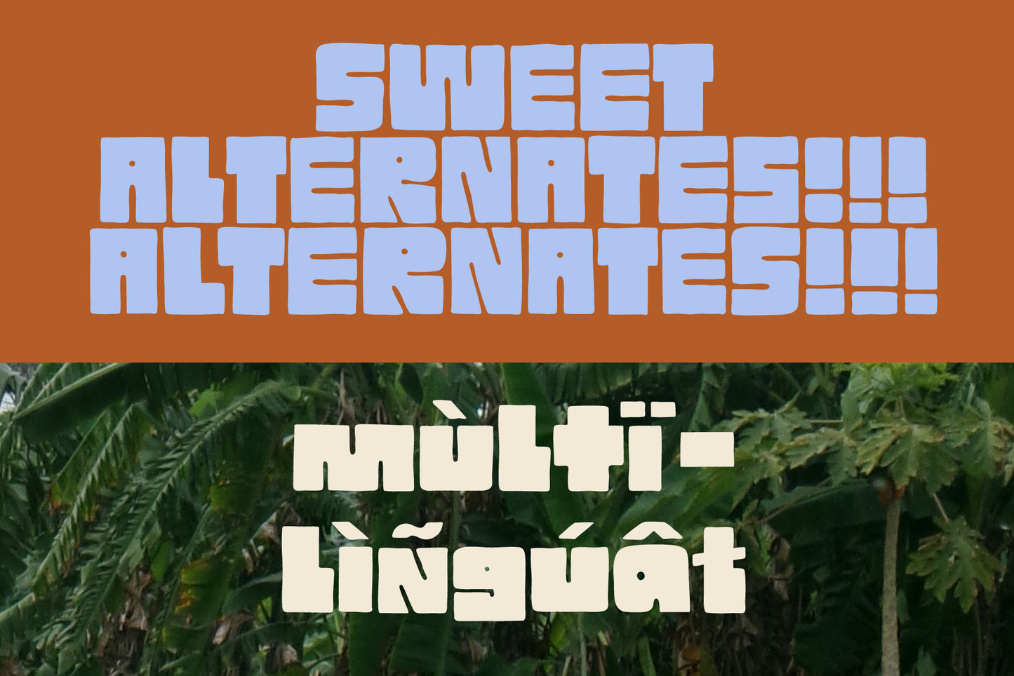 Blockie - Hand-lettered Display Font