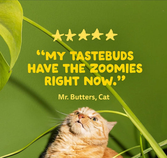 Fonts in Use: Imperfect Font Adds Charm to Edgard & Cooper’s Clever Instagram Posts