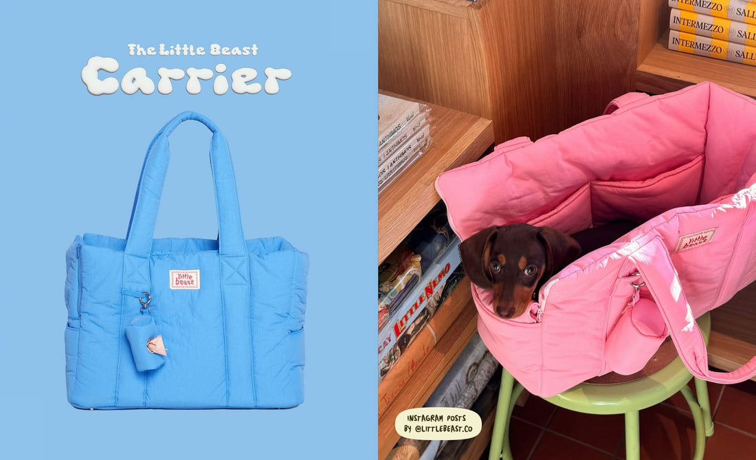 Fonts in Use: Puffie Font x Little Beast’s Stylish and Cute Social Posts