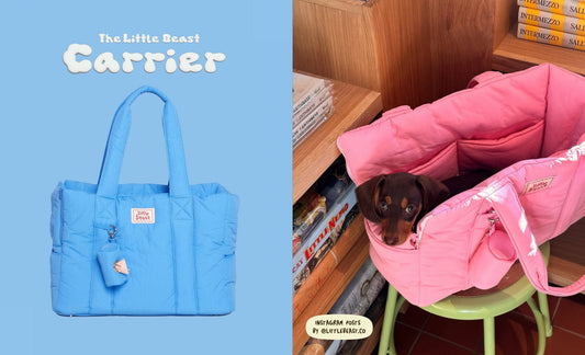 Fonts in Use: Puffie Font x Little Beast’s Stylish and Cute Social Posts